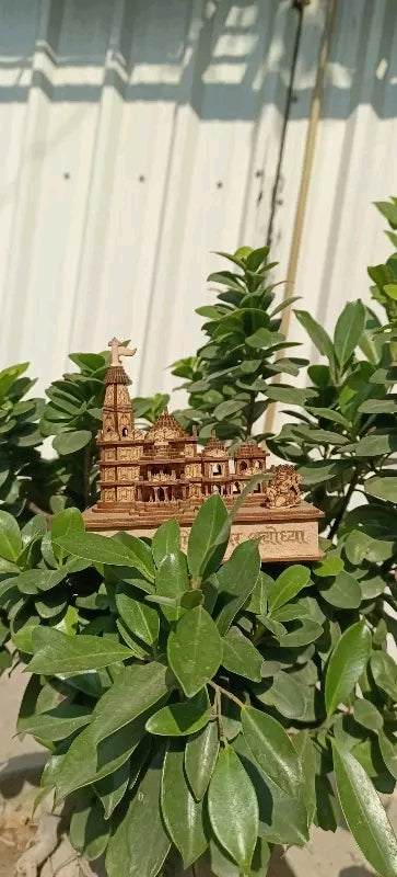 Shree Ram Janmabhoomi Ayodhya Temple Idol
